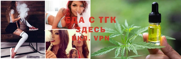 спайс Каменка