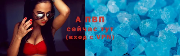 спайс Каменка