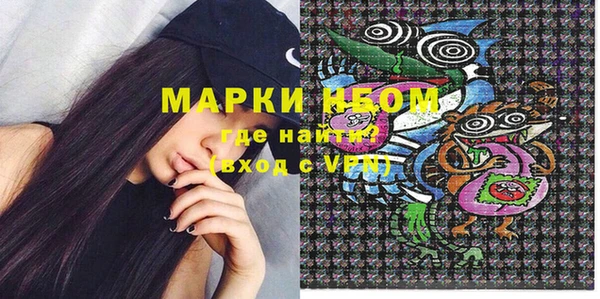 спайс Каменка