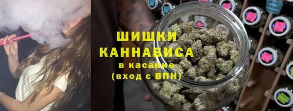 спайс Каменка