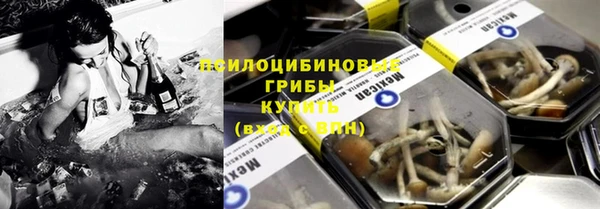 спайс Каменка