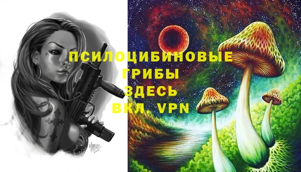 мескалин Каменск-Шахтинский