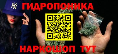 не бодяженный Гай