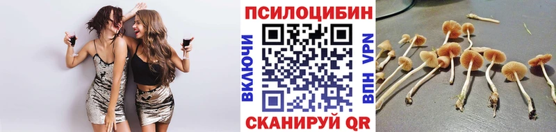 Псилоцибиновые грибы GOLDEN TEACHER  кракен вход  Кимовск  где можно купить наркотик 
