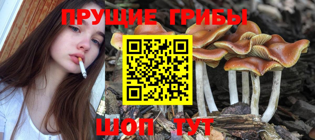 Кимовск  Галлюциногенные грибы Cubensis  Вход с VPN  Галлюциногенные грибы мицелий 