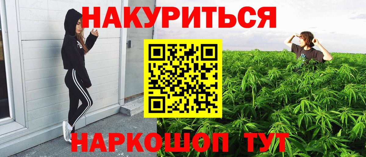 Канабис семена  МАРИХУАНА VHQ  Бошки Шишки планчик  Кимовск  Вход с VPN 